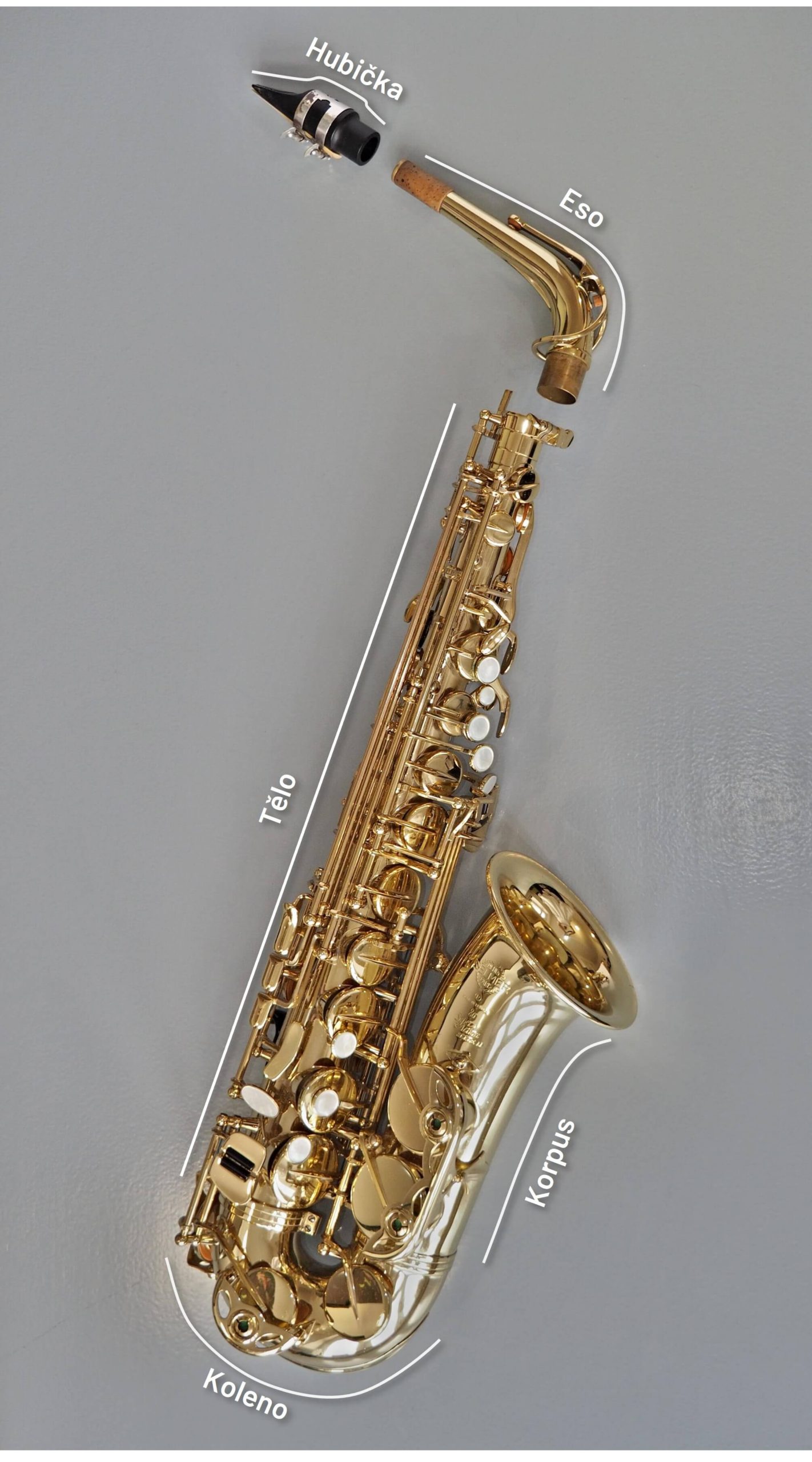 Popis saxofonu - hubička, eso, tělo, koleno, korpu